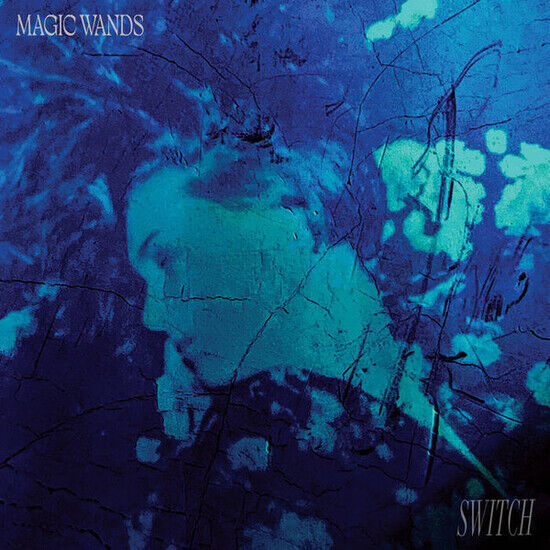 Magic Wands - Switch