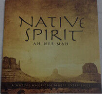 Arkenstone, David - Native Spirit