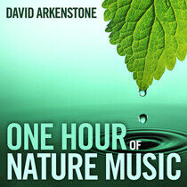 Arkenstone, David - One Hour of Nature Music