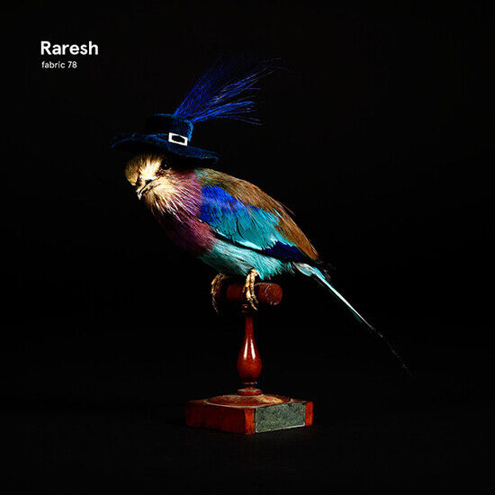 V/A - Fabric 78: Raresh