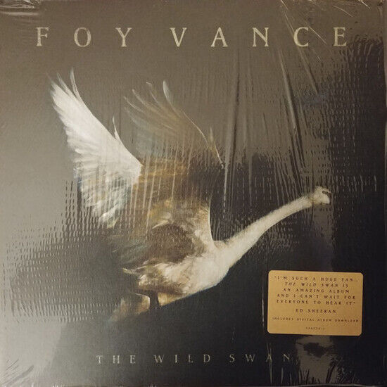 Vance, Foy - Wild Swan