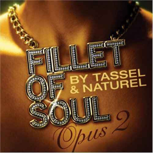 V/A - Fillet of Soul -12tr-