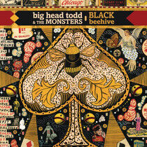 Big Head Todd & the Monst - Black Beehive