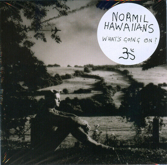 Normil Hawaiians - What\'s Going On