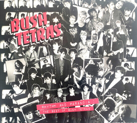 Bush Tetras - Rhythm and Paranoia:..