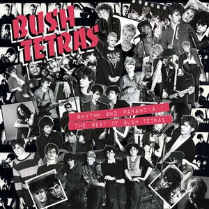 Bush Tetras - Rhythm and Paranoia:..