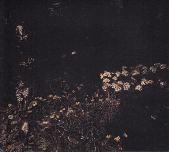 Davachi, Sarah - Pale Bloom