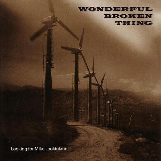 Wonderful Broken Things - Looking For Mike Lookinla