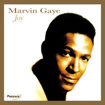 Gaye, Marvin - Joy