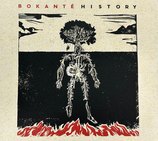 Bokante - History