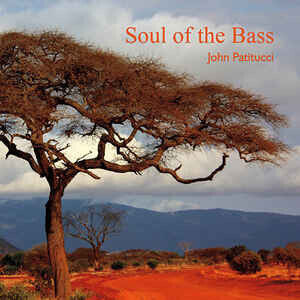 Patitucci, John - Soul of the Bass