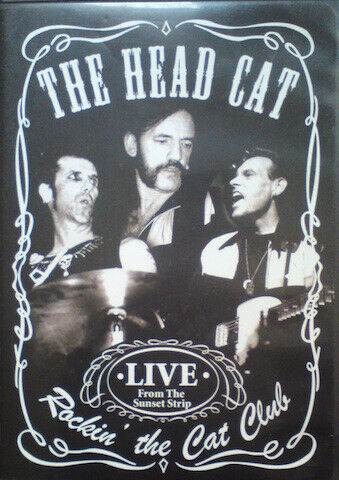 Head Cat - Rockin\' the Cat Club