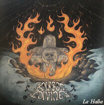 Boisson Divine - La Halha