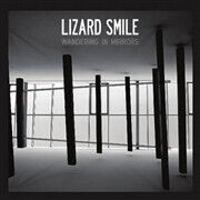 Lizard Smile - Wandering In Mirrors