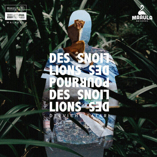 Des Lions Pour Les Lions - Derviche Safari