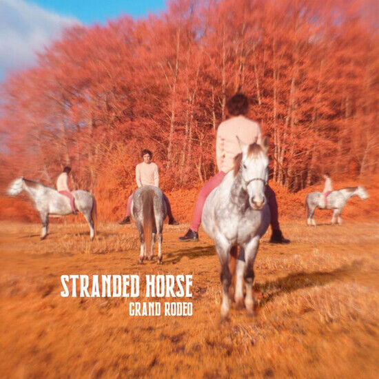 Stranded Horse - Grand Rodeo