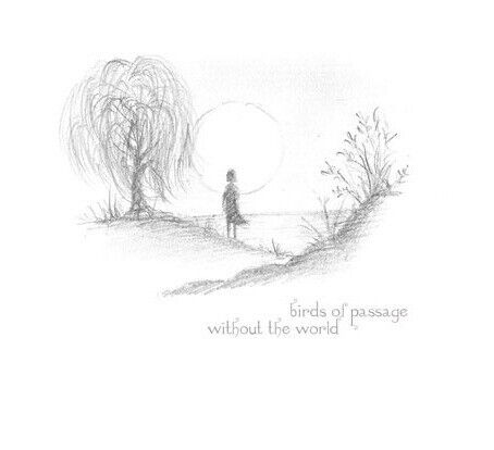 Birds of Passage - Without the World