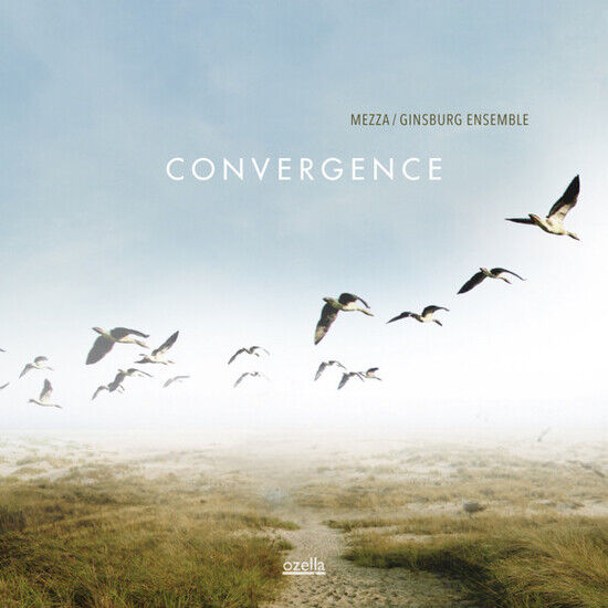 Mezza & Ginsburg Ensemble - Convergence -Hq-