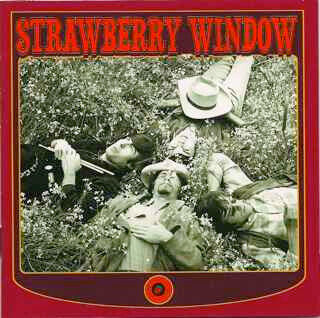 Strawberry Windows - Strawberry Windows