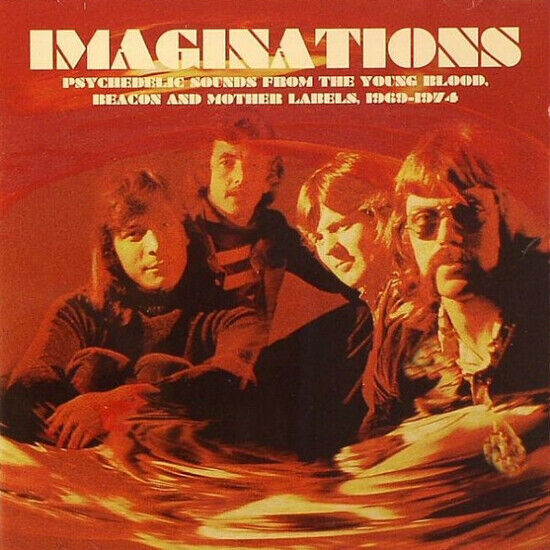 V/A - Imaginations