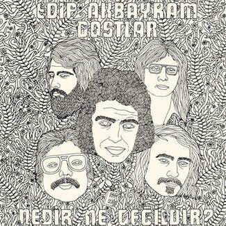 Akbayram, Edip & Dostlar - Nedir Ne Degildir