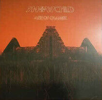 Snowchild - Age of Change