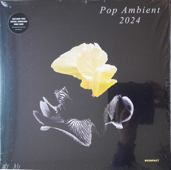 V/A - Pop Ambient 2024