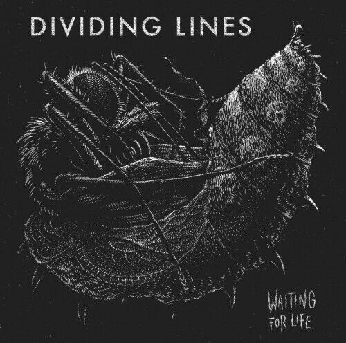 Dividing Lines - Waiting For Life