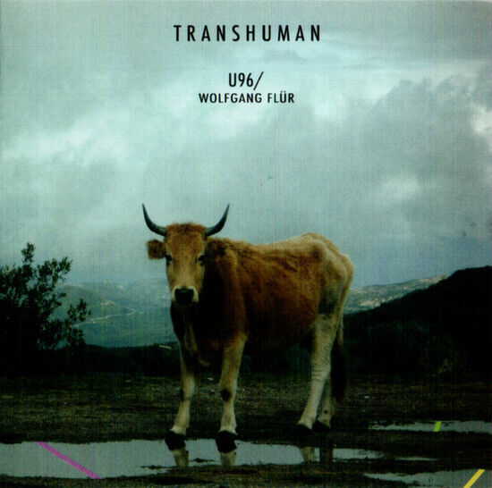 U96 / Wolfgang Flur - Transhuman