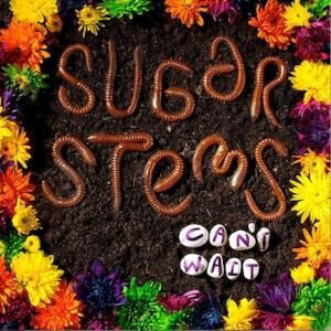 Sugar Stems - Can\'t Wait