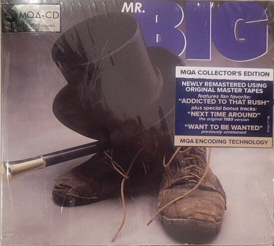 Mr. Big - Mr. Big