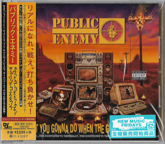 Public Enemy - What You Gonna Do When..