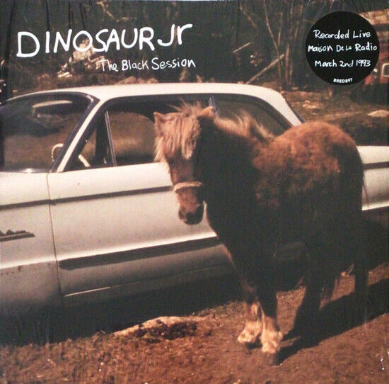 Dinosaur Jr. - Black Session