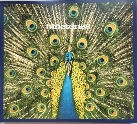 Bluetones - Expecting To Fly