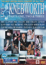 V/A - Live At Knebworth 1990