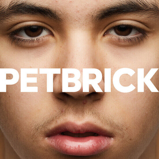 Petbrick - I -Coloured-