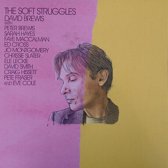 Brewis, David - Soft Struggles