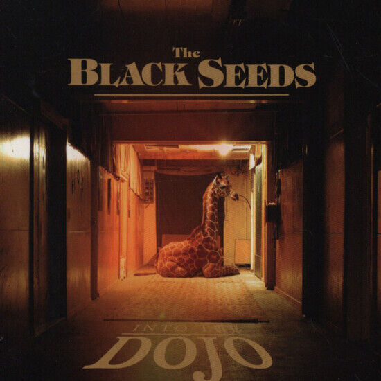 Black Seeds - Into the Dojo