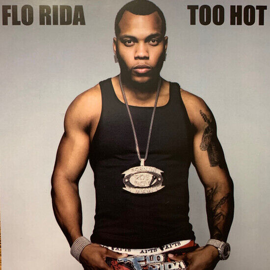 Flo Rida - Too Hot