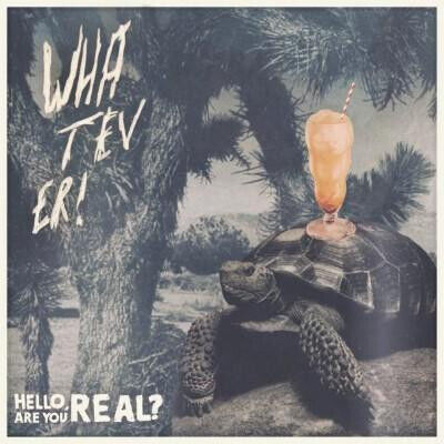 Whatever - Hello Are You Real /..