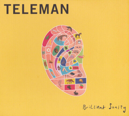 Teleman - Brilliant Sanity