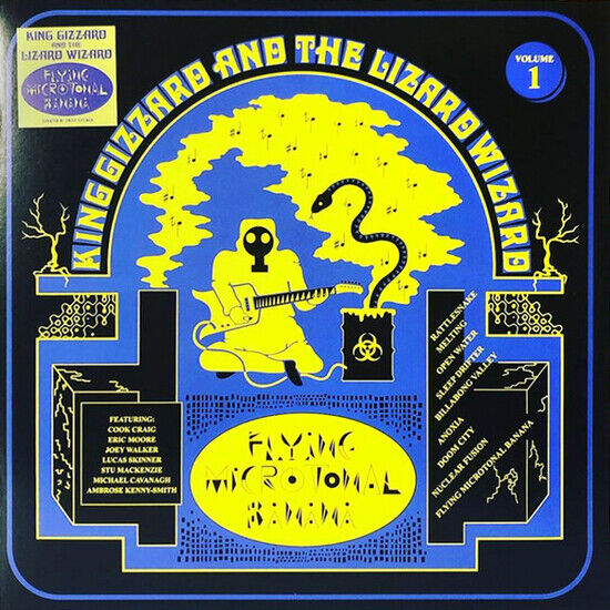 King Gizzard and the Liza - Flying Microtonal Banana