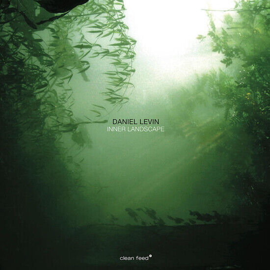 Levin, Daniel - Inner Landscape