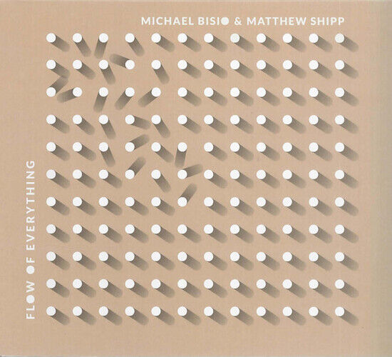 Shipp, Matthew - Flow of Everything