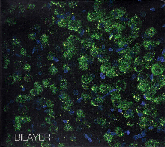 Bilayer - Bilayer