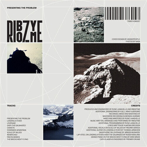 Ribozyme - Presenting the Problem