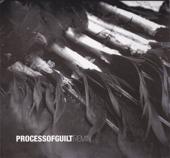 Process of Guilt - Faemin