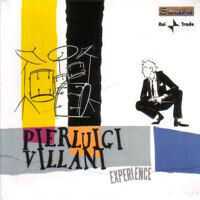 Villani, Pierluigi - Experience