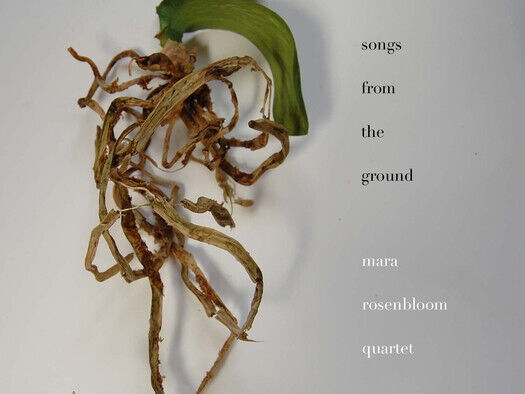 Rosenbloom, Mara - Songs From the Ground