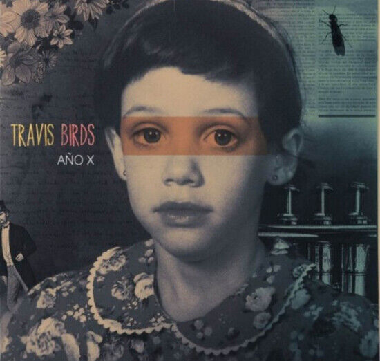 Birds, Travis - Ano X